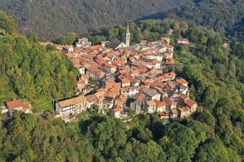 Taureau communal
